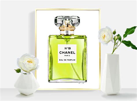 coco chanel green perfume|coco chanel perfume base notes.